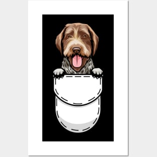 Funny Wirehaired Pointing Griffon Pocket Dog Posters and Art